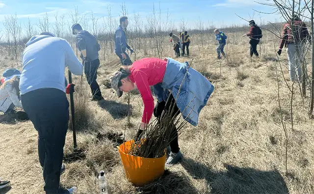 Endava volunteers plant trees