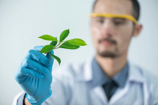 A doctor that has in his hand a leaf