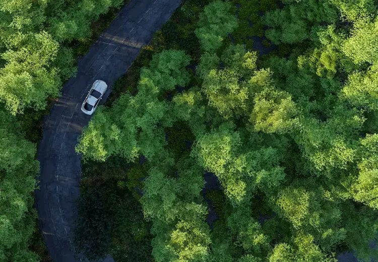 A white car on a winding road surrounded by trees.