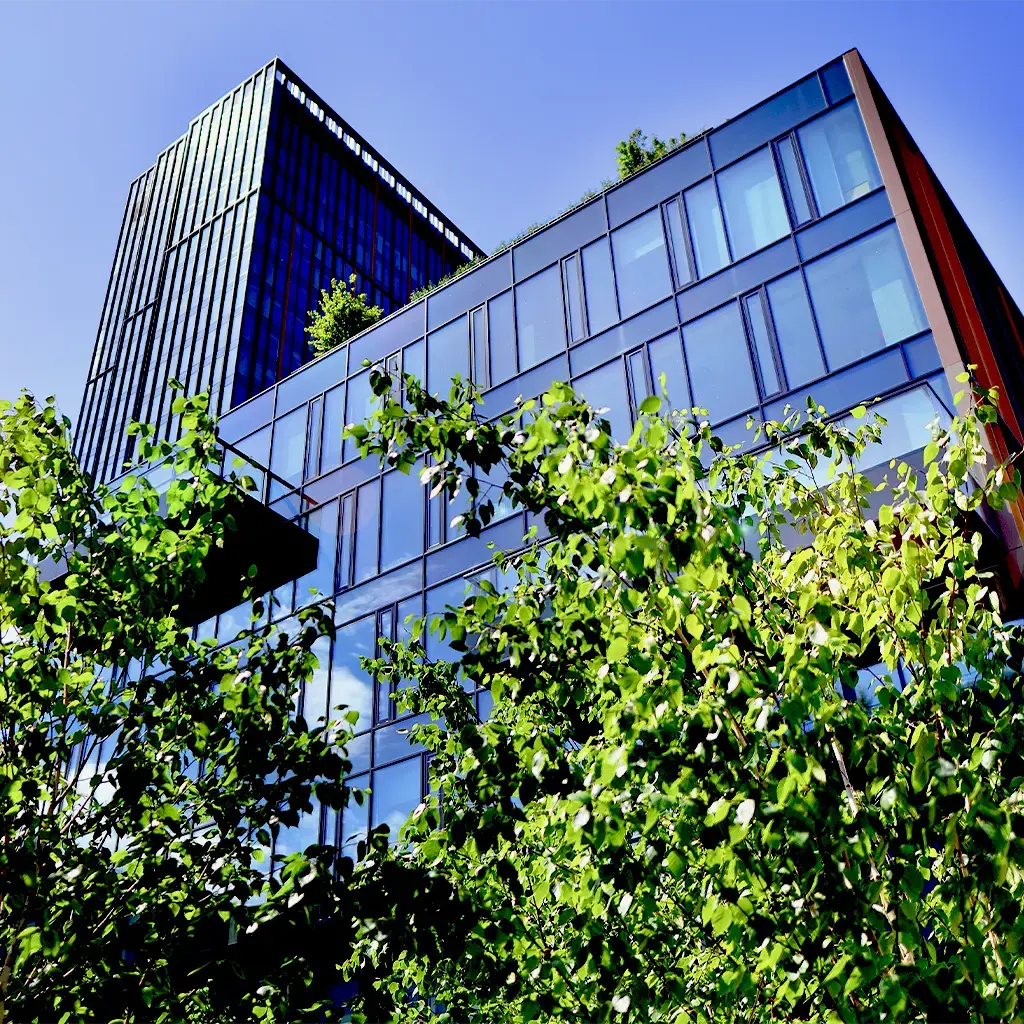 sun highlighting green leaves on trees in front of glass office building