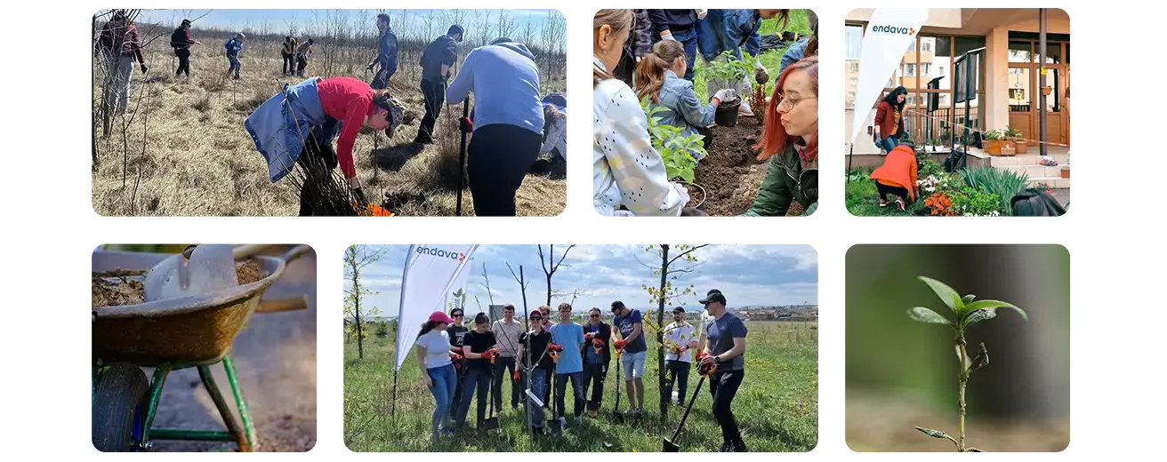 endava volunteers work planting trees