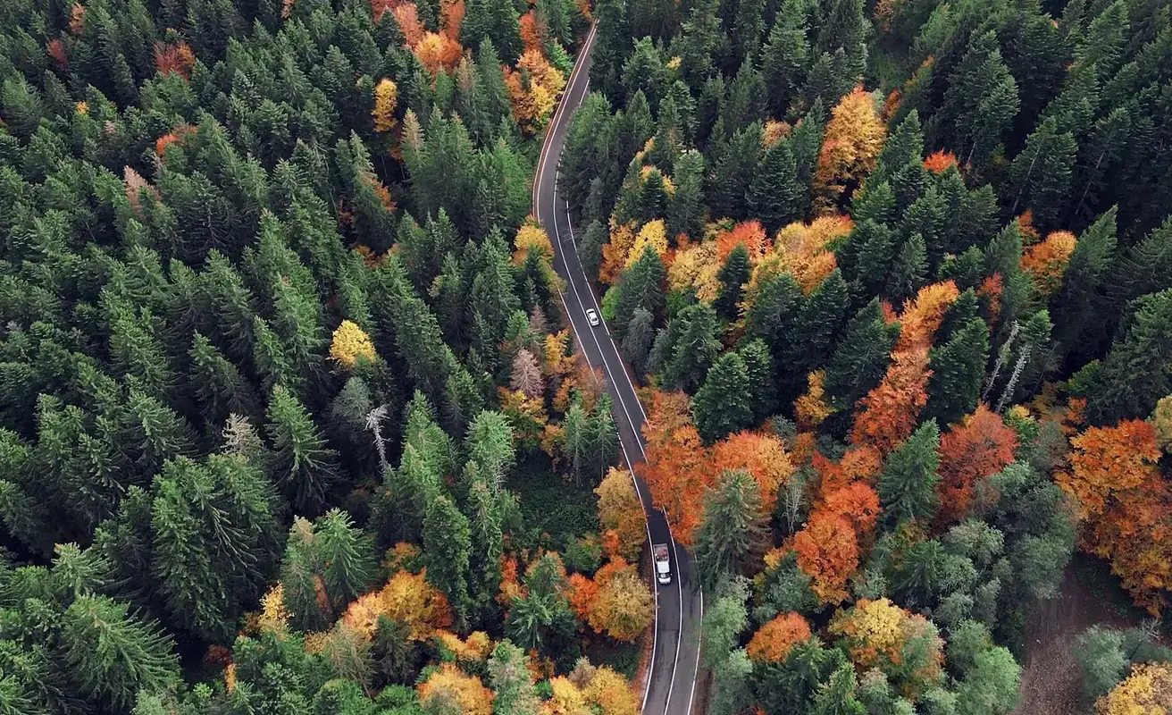 view from the sky down to road through forest in autumn